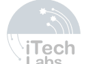 Visa partner logo